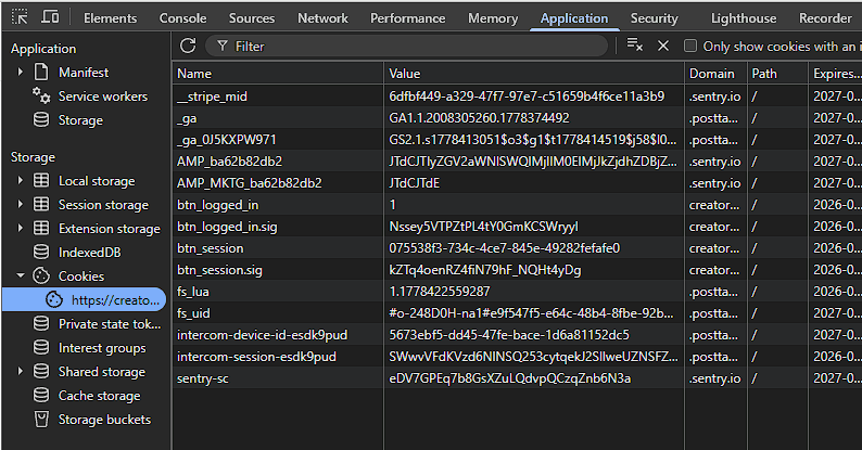 Bereich Application → Cookies in den Entwicklertools